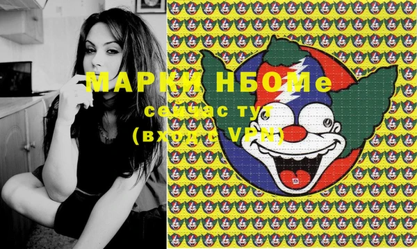 дурь Бородино