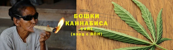 PSILOCYBIN Бугульма