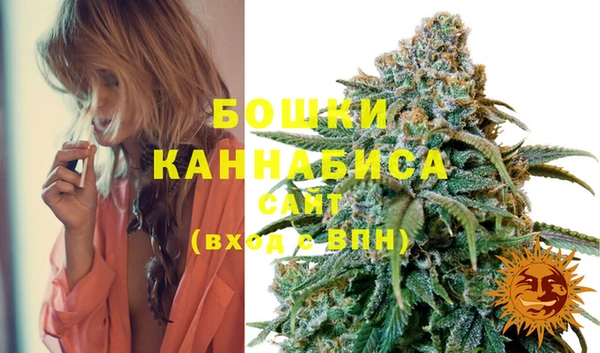 мдпв Бронницы