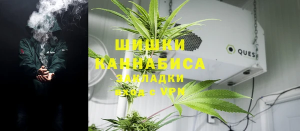 мдпв Бронницы