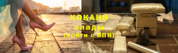 дурь Бородино