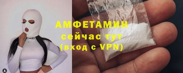 дурь Бородино