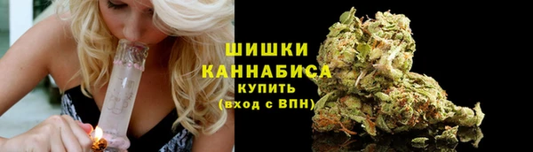 PSILOCYBIN Бугульма