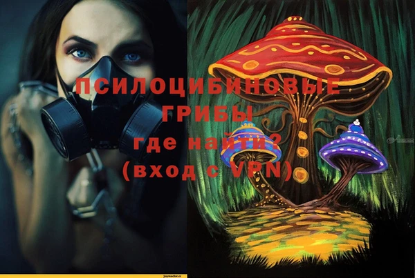 мдпв Бронницы