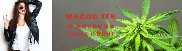 дурь Бородино