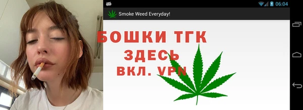 мдпв Бронницы