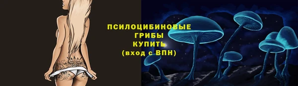 PSILOCYBIN Бугульма