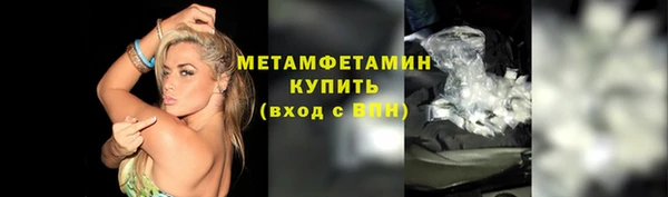 дурь Бородино