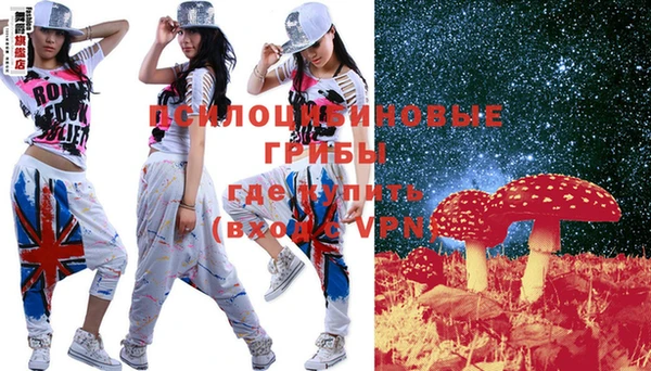 PSILOCYBIN Бугульма