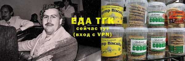 дурь Бородино