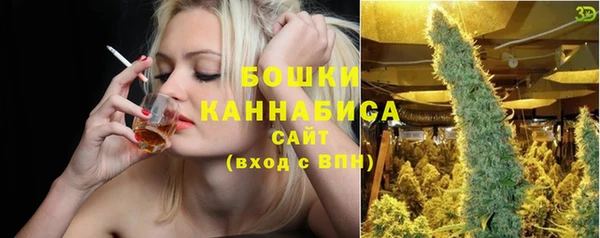 дурь Бородино