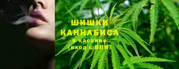 PSILOCYBIN Бугульма