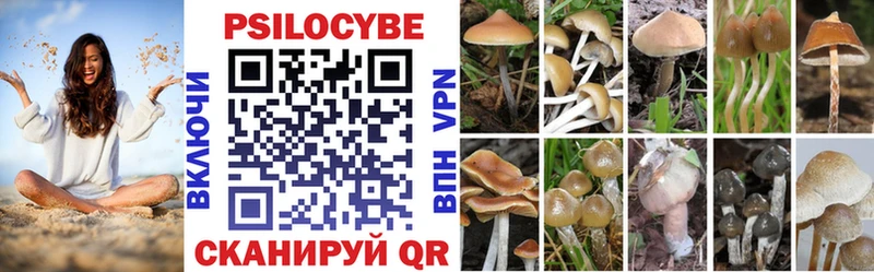 где можно купить наркотик  Красково  Галлюциногенные грибы Cubensis 